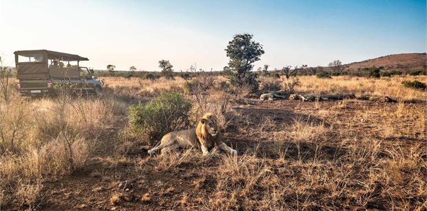 Trafalgar Tours | Best of South Africa with Victoria Falls