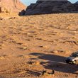 Insight Vacations | Jordan Experience