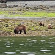 Vancouver and Knight Inlet Lodge, Canada