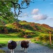 Costsaver | Britain & Ireland Delight