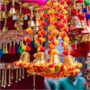 Cosmos | Colors of India's Golden Triangle & Rajasthan 2026