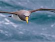 Chatham Islands Escorted Journey