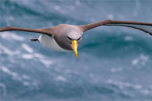 Chatham Islands Escorted Journey - helloworld Travel Westgate
