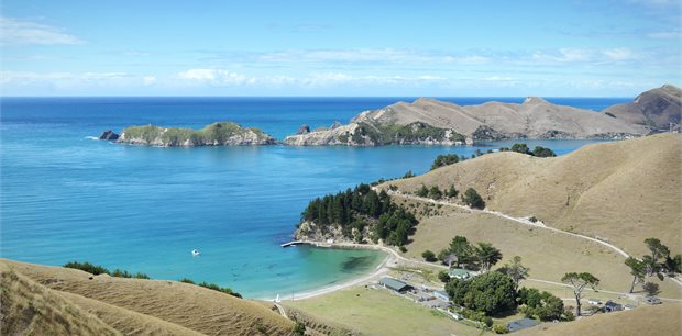 Insight Vacations - New Zealand Tours