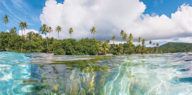 Melanesia & Polynesia: Island Cultures & Coral Coasts