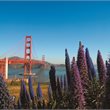 San Francisco on Sale - Qantas Global Sale - from Auckland, Wellington or Christchurch