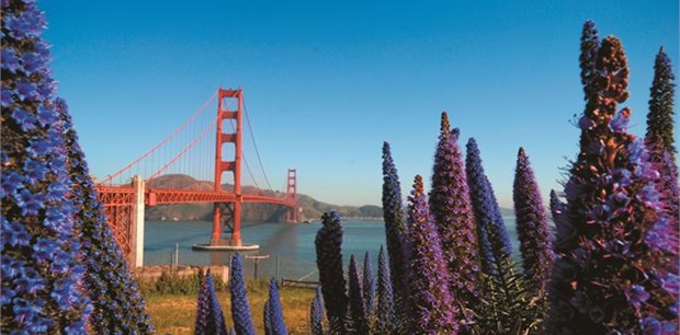 San Francisco on Sale - Qantas Global Sale - from Auckland, Wellington or Christchurch