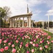 Vienna Early Bird Sale with China Airlines