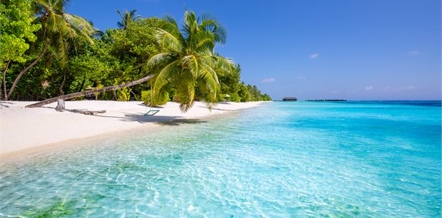 Fiji - Global New Year Sale - Fiji Airways - from Wellington or Christchurch