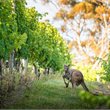 Adelaide - Aussie on Sale - Air New Zealand - 'Works' - from Auckland, Wellington or Christchurch