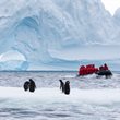 Antarctic Peninsula - Puerto Williams to Puerto Williams