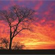 Johannesburg on Sale - Singapore Airlines
