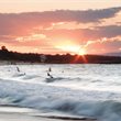 Sunshine Coast on Sale - Air New Zealand - from Auckland, Wellington or Christchurch