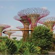 Singapore on Sale - Premium Economy Sale - Air New Zealand
