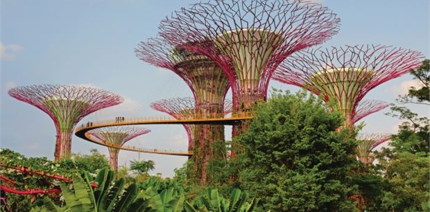 Singapore on Sale - Premium Economy Sale - Air New Zealand