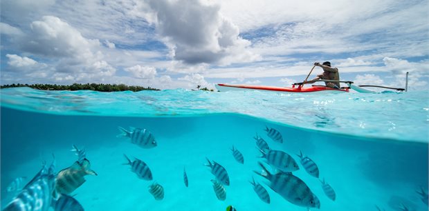 Tahitian Wonders