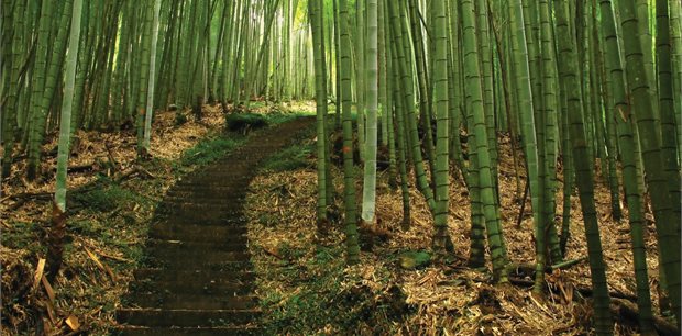 Taipei on Sale with China Airlines