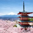 Tradition & Cultural Gems of Japan