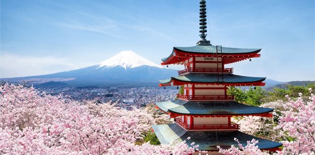 Tradition & Cultural Gems of Japan