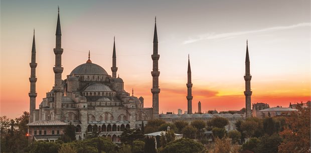 Intrepid | 18 to 35s Real Turkey