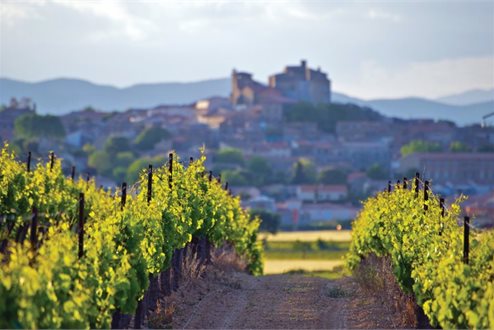 A Taste of Tuscany with Rachel Priestley - helloworld Travel Miramar