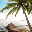 Samoa on Sale - Air New Zealand - Seat Only