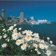 Vancouver on Sale - Qantas Global Sale - Business Class - from Auckland, Wellington & Christchurch