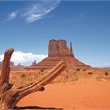 Las Vegas on Sale - Air New Zealand
