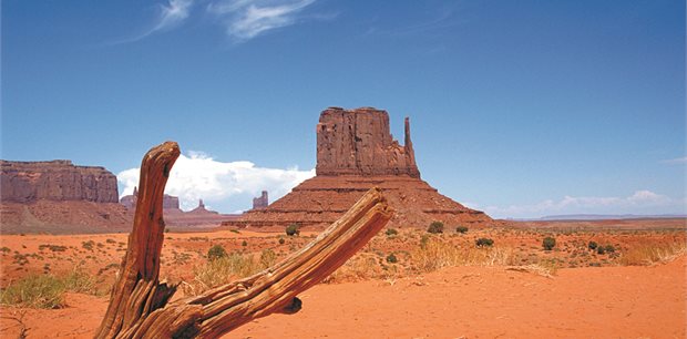 Las Vegas on Sale - Air New Zealand