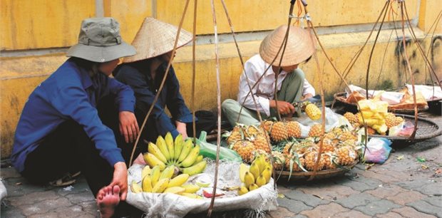 Peregrine | Vietnam Food Explorer