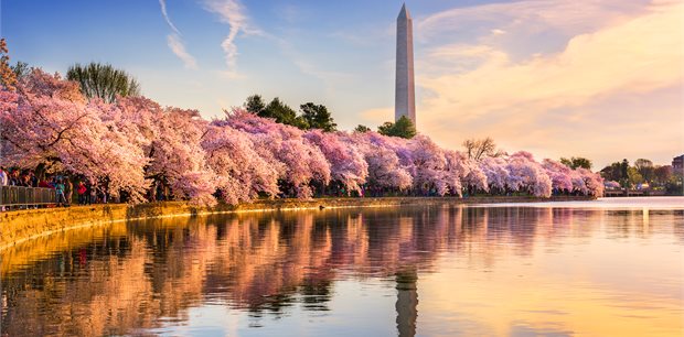 Globus | Eastern US & Canada Discovery