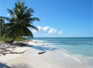 Edge, Eastern Caribbean ex Ft Lauderdale Return Edge, Eastern Caribbean ex Ft Lauderdale Return