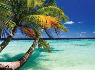 Liberty, Western Caribbean Cruise ex Galveston Return Liberty, Western Caribbean Cruise ex Galveston Return