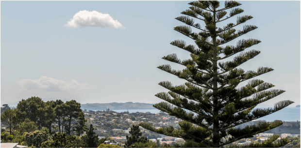 helloworld Travel Browns Bay (REMOTE)