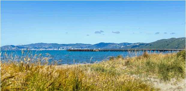 helloworld Travel Petone