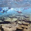 5 Day Exmouth Adventure