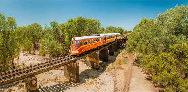 7 Day Gulf Savannah Experience