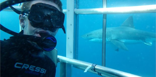 2 Day/2 Night Great White Sharks & Exceptional Port Lincoln