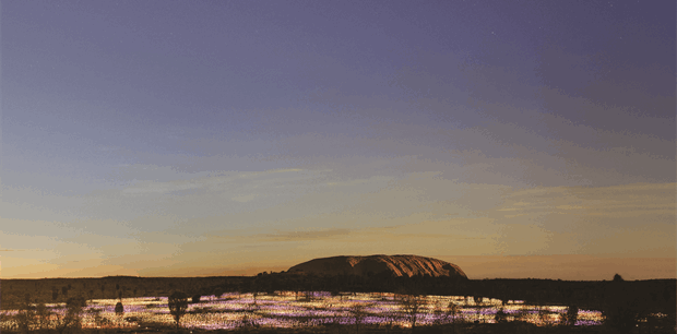 4 Day/3 Night Ultimate Uluru