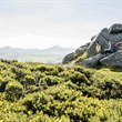 8 Day/7 Night Ireland The Classic, Self-Drive