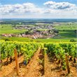 Paris to Nice through Vineyards & Mountains - 12 Days/11 Nights