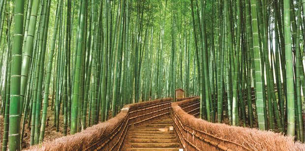 12 Day/11 Night Treasures of Japan