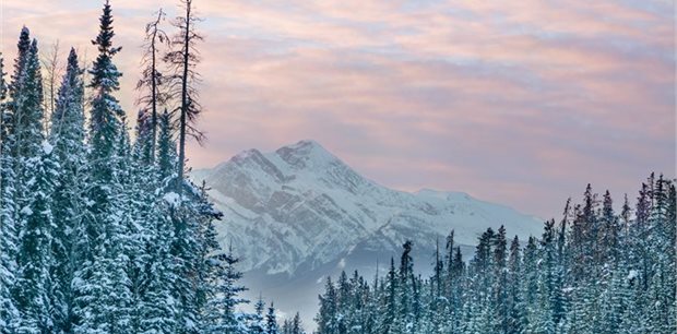 7 Day Rockies Winter Wildlife