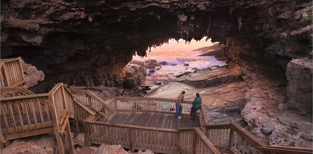 6 Day Kangaroo Island Discovery