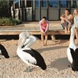 7 Day Monkey Mia + Dirk Hartog Island