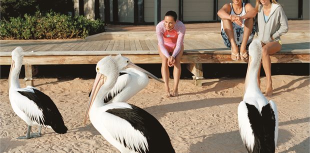7 Day Monkey Mia + Dirk Hartog Island 7 Day Monkey Mia + Dirk Hartog Island