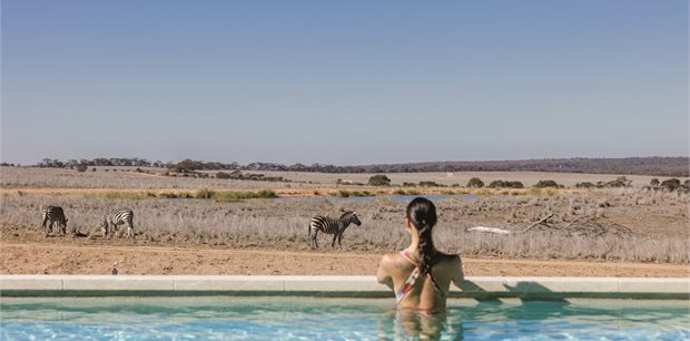 Monarto Safari Resort