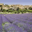 4 nights Highlights of Provence