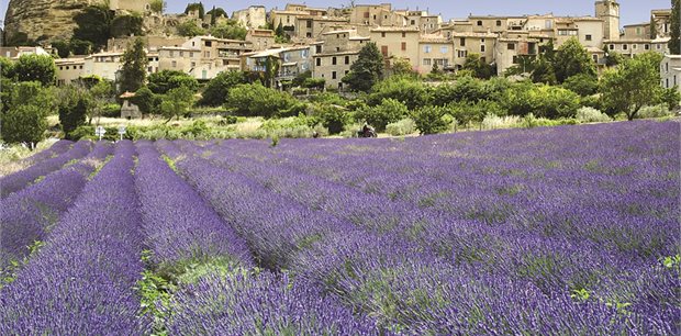 4 nights Highlights of Provence