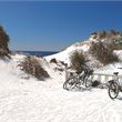8 Day Perth & Rottnest Adventure